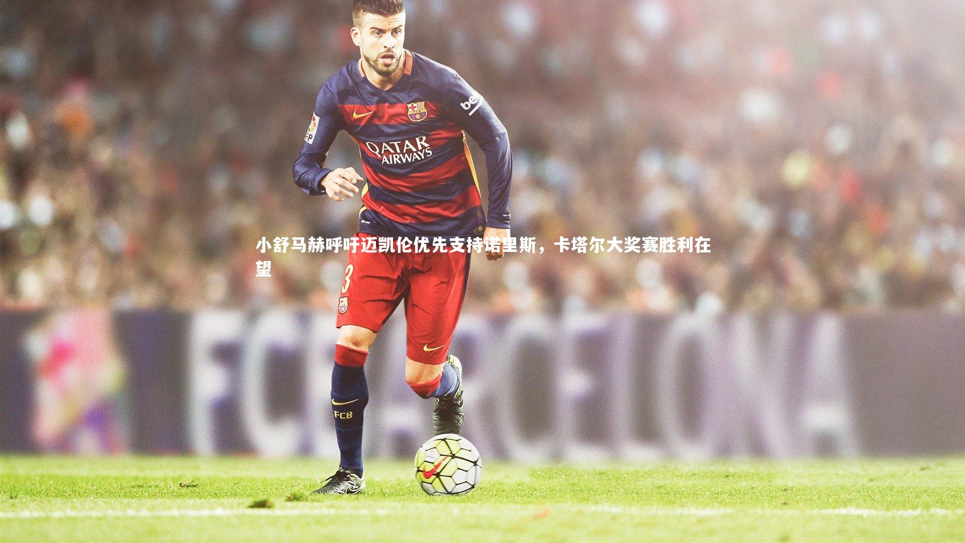 小舒马赫呼吁迈凯伦优先支持诺里斯,卡塔尔大奖赛胜利在望